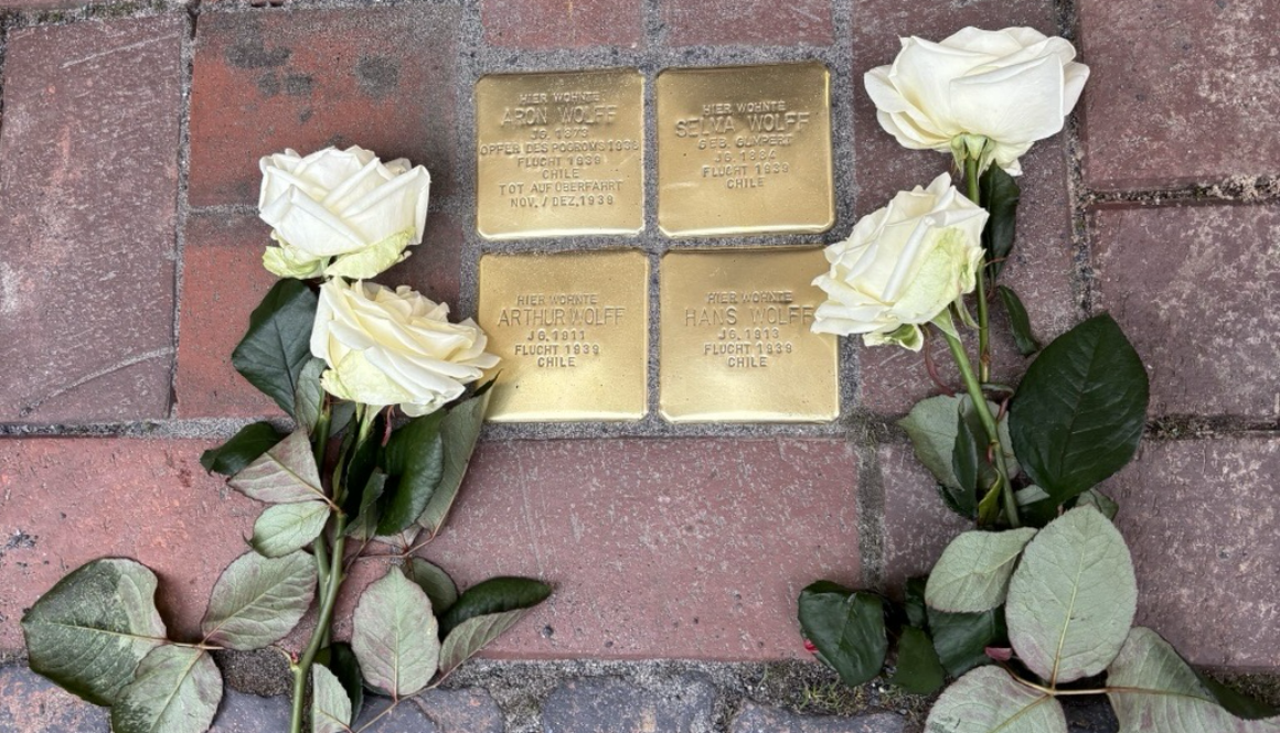 Stolpersteine II